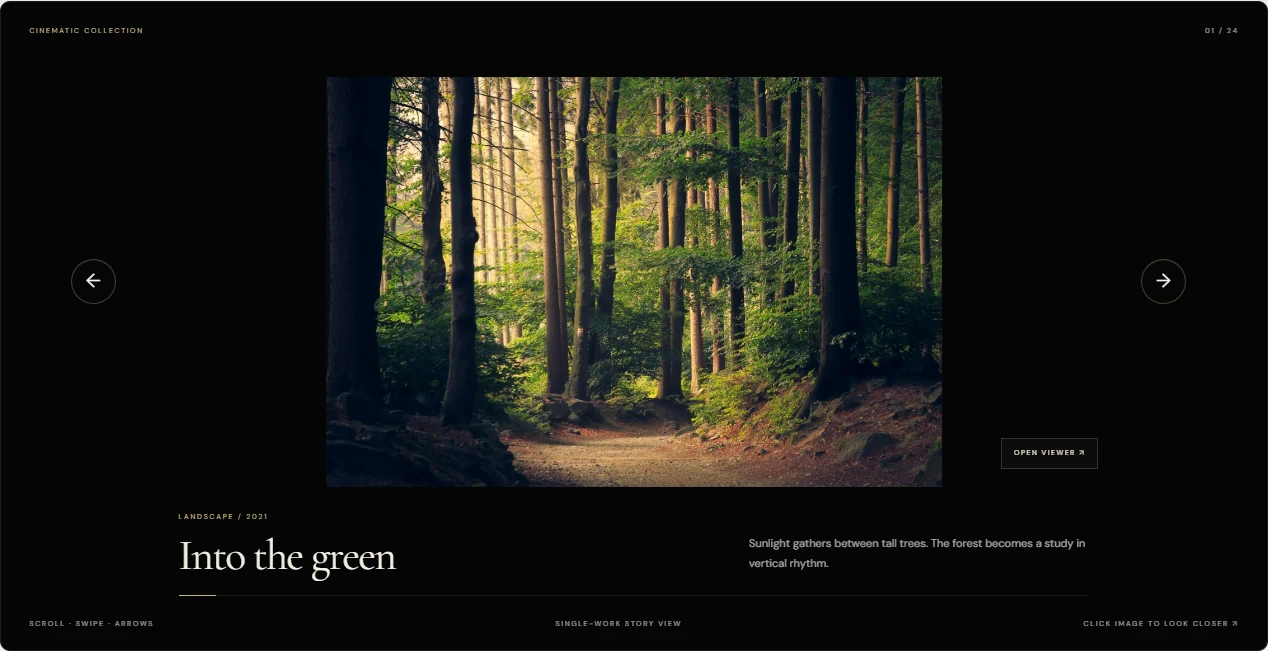 One photograph, given the stage: Cinematic pairs Into the green with its title, caption and collection progress, keeping attention on a single work.