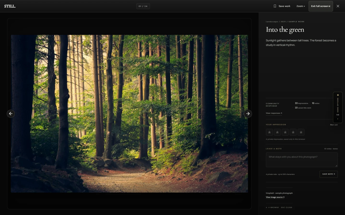 A closer look: The Viewer places the photograph beside its description and the chosen response style.